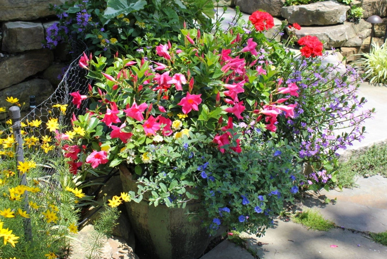 Annual Planting by Beyond Landscaping - Photo 7