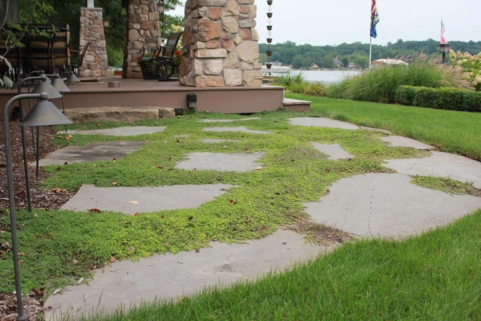 Tippy Lake by Beyond Landscaping - Photo 6