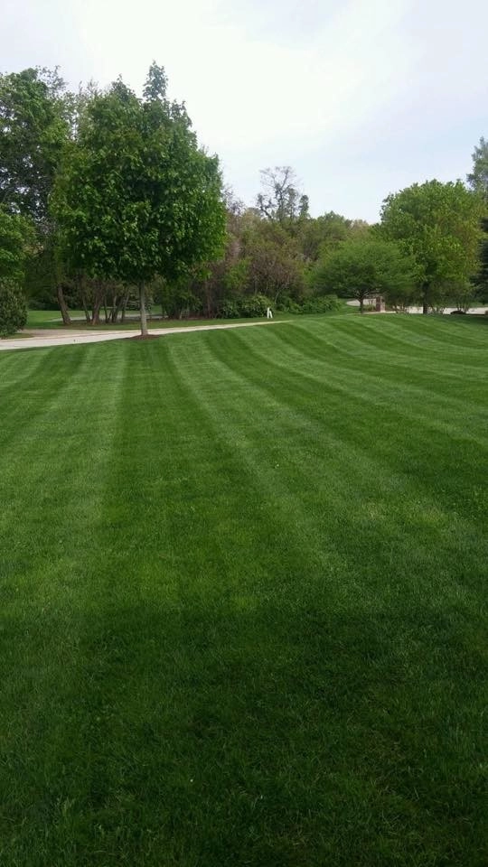 Lawns by Beyond Landscaping - Photo 5