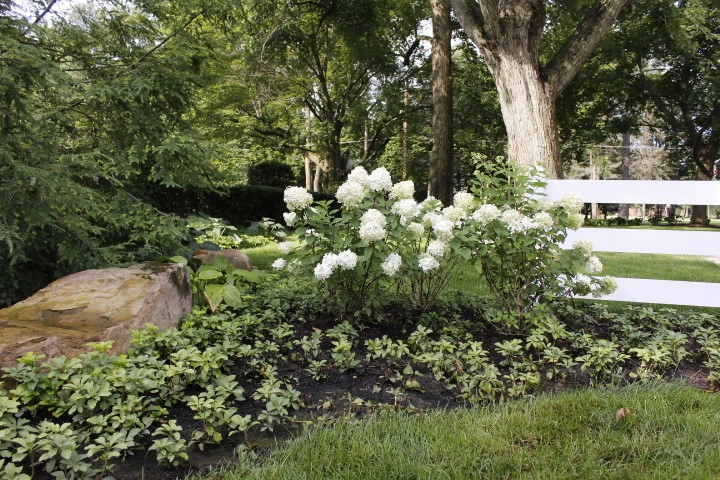 Wawasee Lake Project by Beyond Landscaping - Photo 23