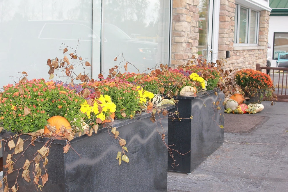 Fall Decorations by Beyond Landscaping - Photo 4