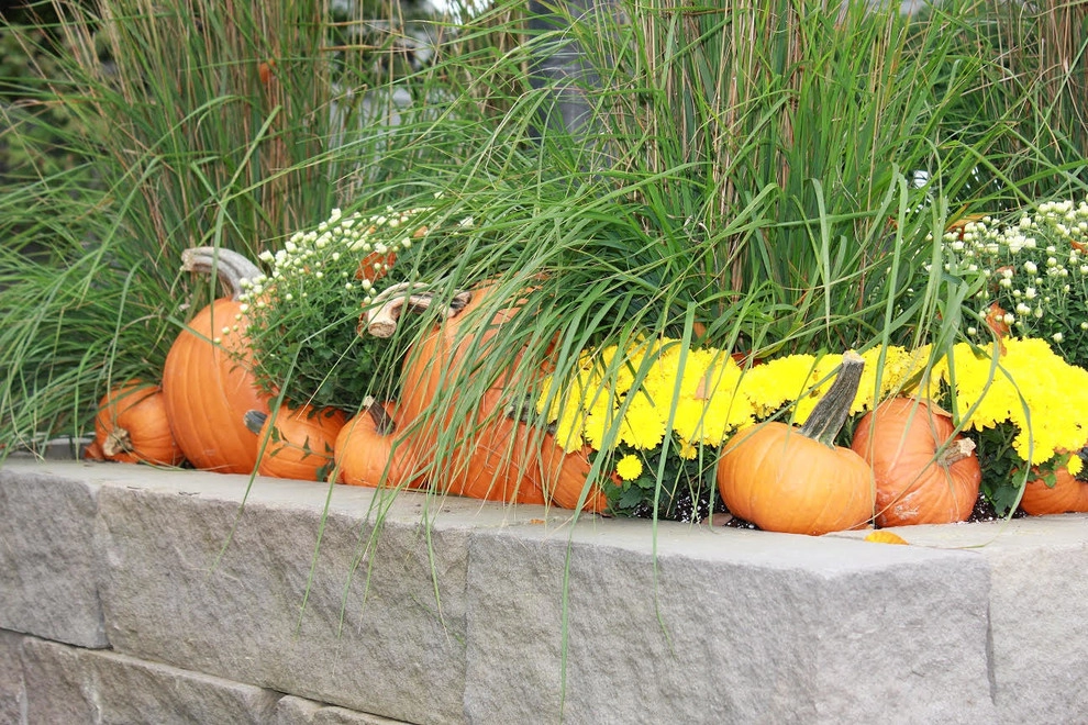 Fall Decorations by Beyond Landscaping - Photo 10