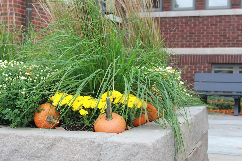 Fall Decorations by Beyond Landscaping - Photo 14