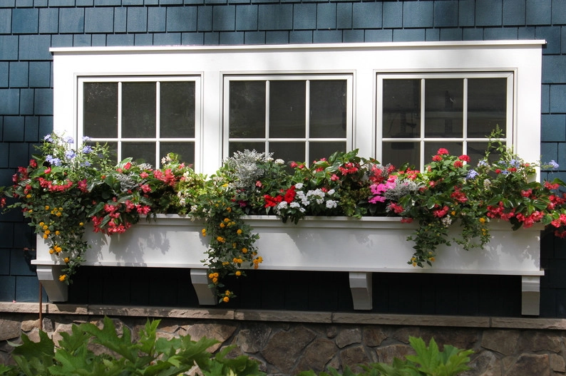 Annual Planting by Beyond Landscaping - Photo 3