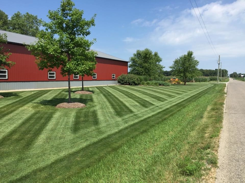 Lawns by Beyond Landscaping - Photo 6