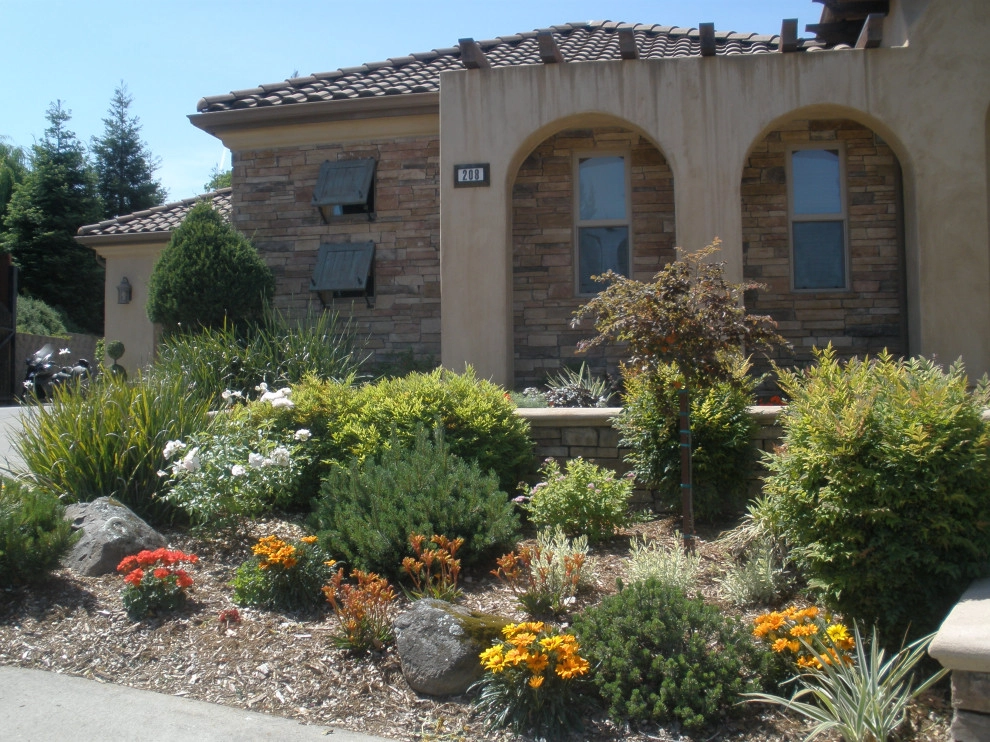 Front Yards and Walkways by Bluestar Landscape Designers - Photo 22