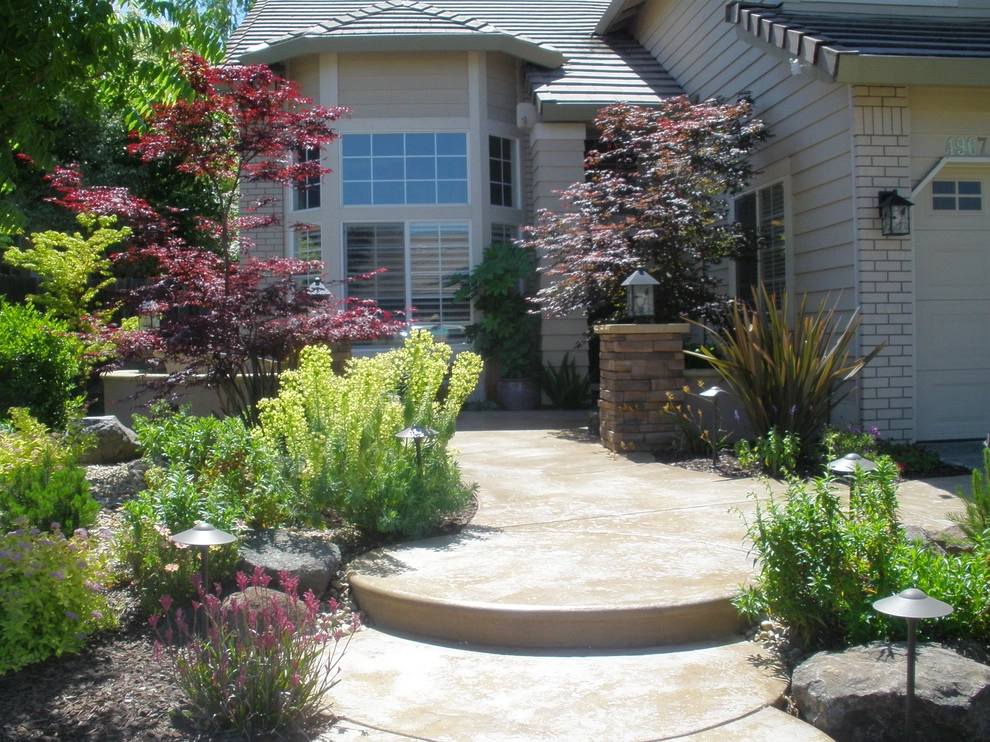 Rocklin Contemporary Courtyard by Bluestar Landscape Designers - Photo 3