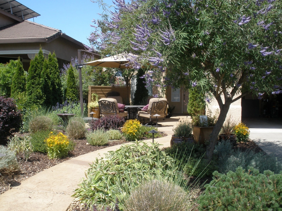 Drought Tolerant Landscape with Courtyard Feel by Bluestar Landscape Designers - Photo 7