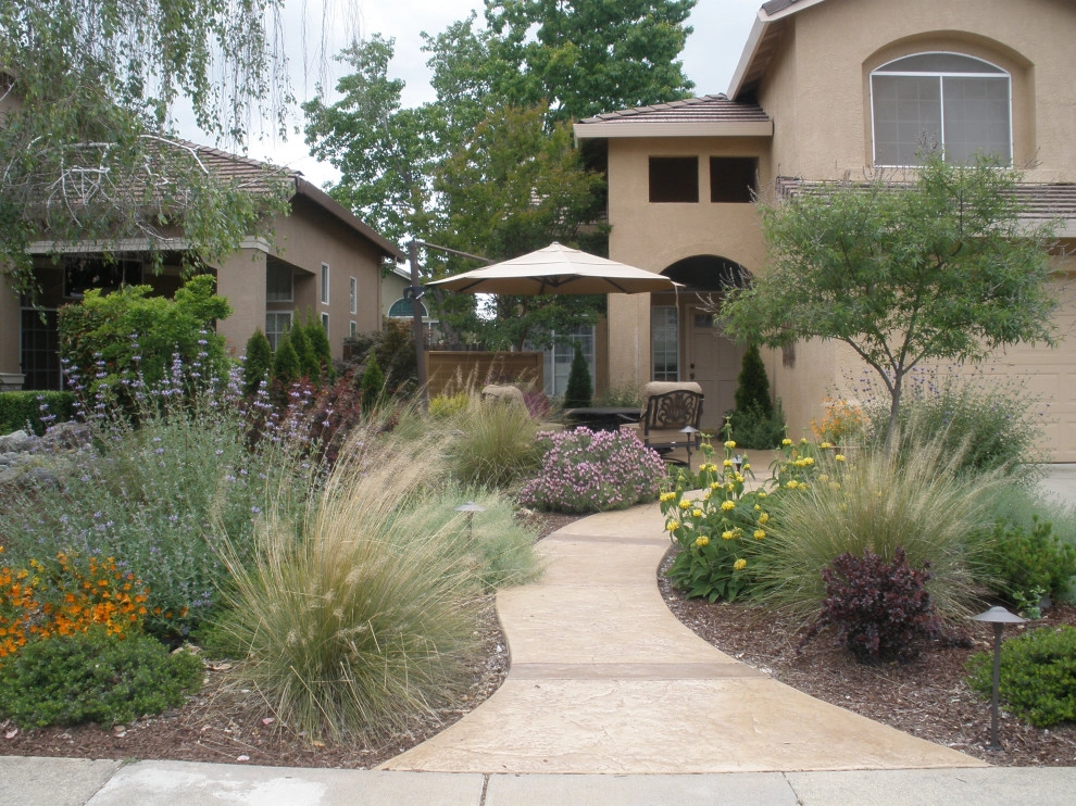 Front Yards and Walkways by Bluestar Landscape Designers - Photo 23