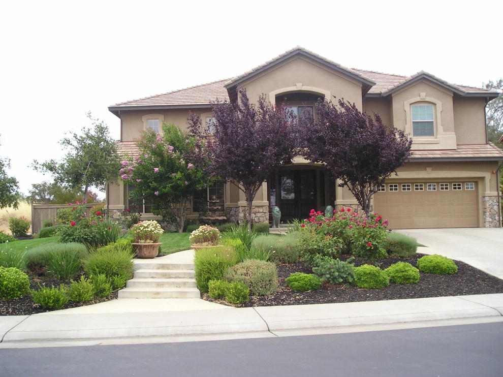 Front Yards and Walkways by Bluestar Landscape Designers - Photo 21