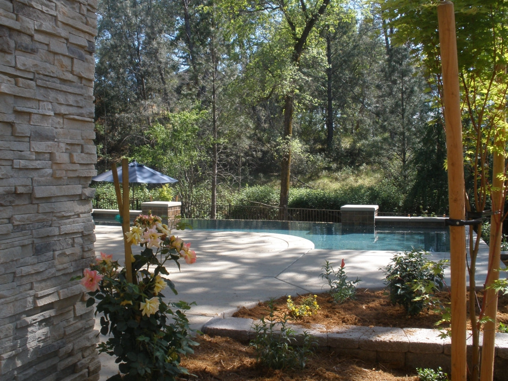 Dark Horse Pool - North Auburn by Bluestar Landscape Designers - Photo 3