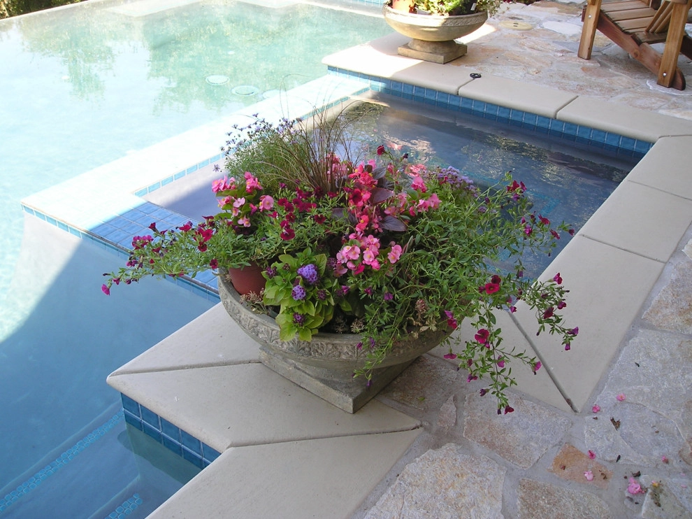 Pool Plantings by Bluestar Landscape Designers - Photo 7