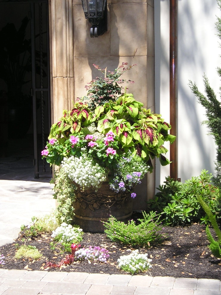 Mission House by Bluestar Landscape Designers - Photo 6