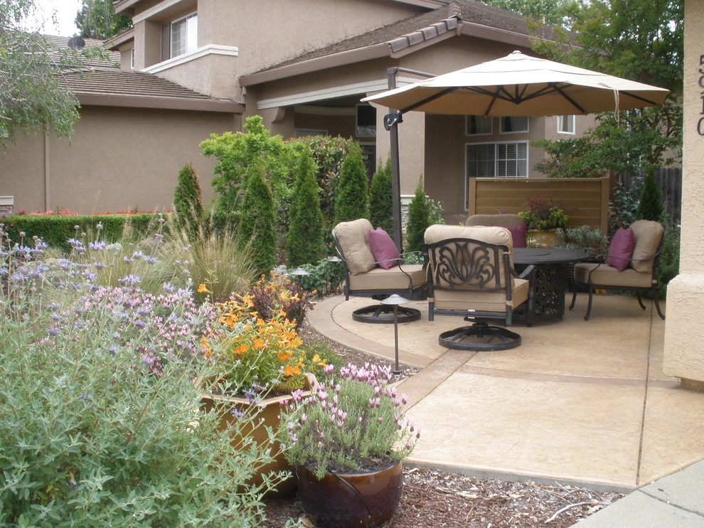 Drought Tolerant Landscape with Courtyard Feel by Bluestar Landscape Designers - Photo 6