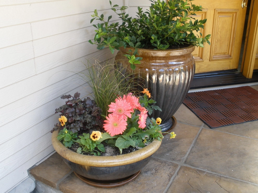 Portfolio of Pots by Bluestar Landscape Designers - Photo 14