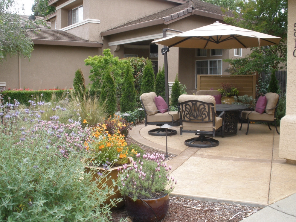 Front Yards and Walkways by Bluestar Landscape Designers - Photo 10