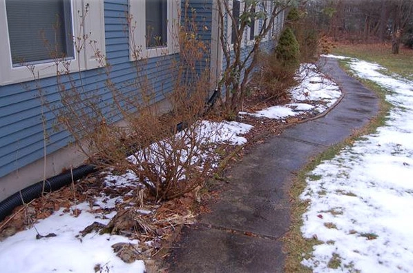 Before & After Projects by Birch Hill Landscape & Design LLC - Photo 10