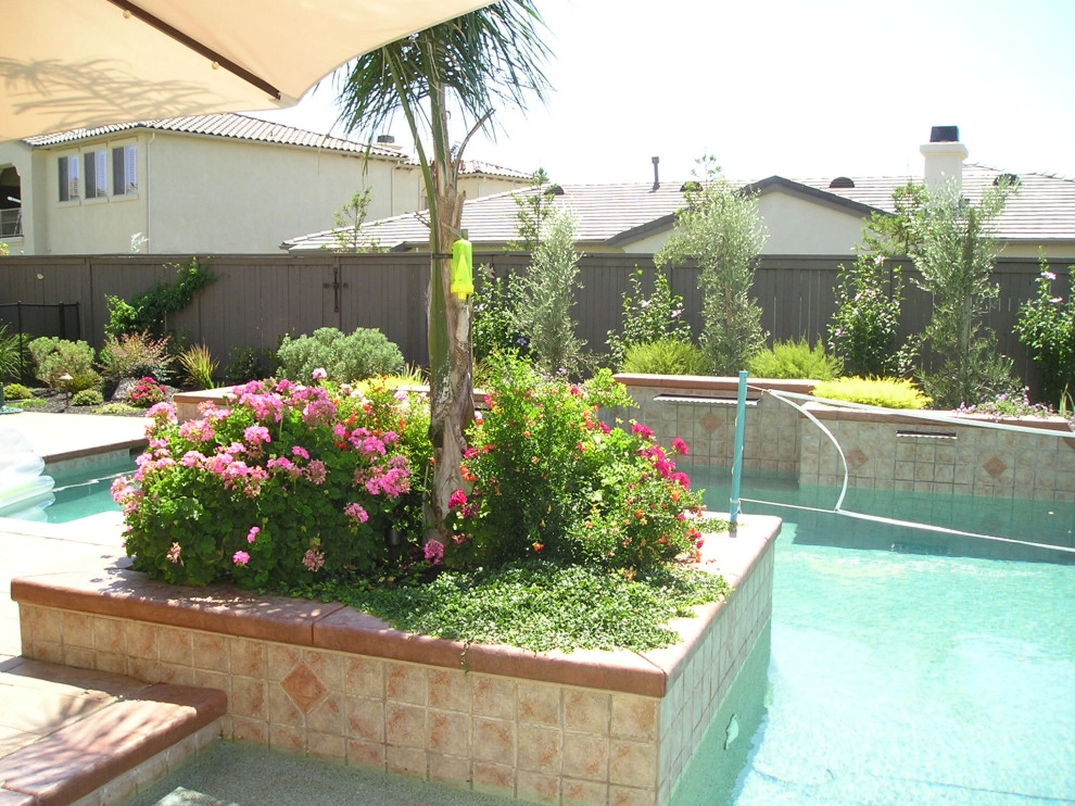 Pool Plantings by Bluestar Landscape Designers - Photo 5