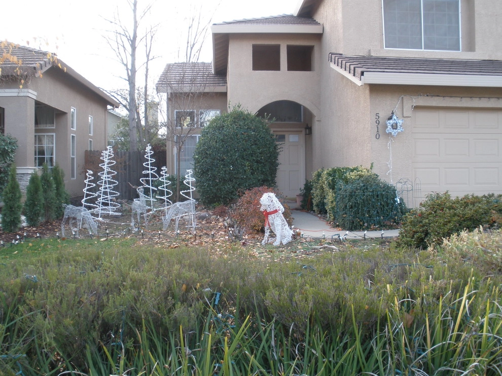 Drought Tolerant Landscape with Courtyard Feel by Bluestar Landscape Designers - Photo 4