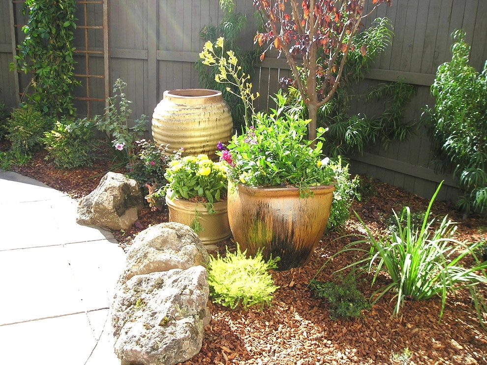 Portfolio of Pots by Bluestar Landscape Designers - Photo 23