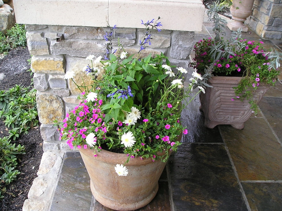 Portfolio of Pots by Bluestar Landscape Designers - Photo 17