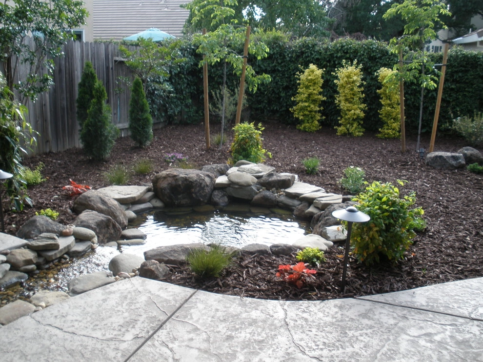 Rocklin Waterfall and Creek Running Through Patio by Bluestar Landscape Designers - Photo 4
