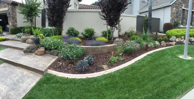 Front Yards and Walkways by Bluestar Landscape Designers - Photo 6