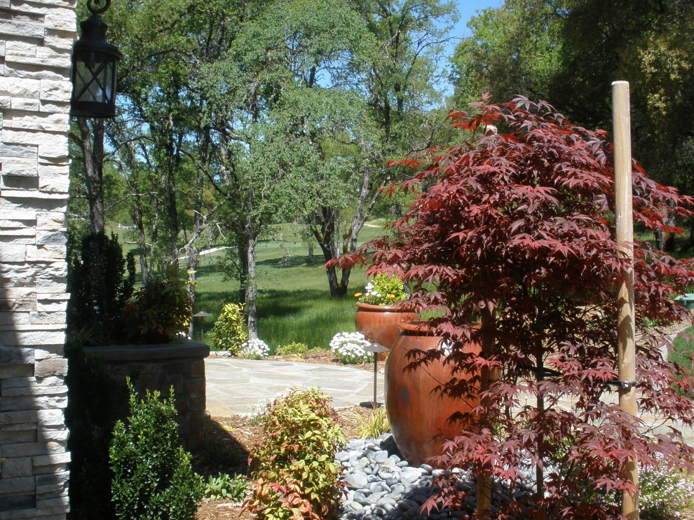 Dark Horse Pool - North Auburn by Bluestar Landscape Designers - Photo 4