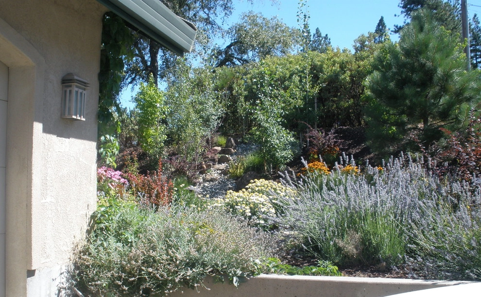 Meadow Vista Stone Columns and Flagstone Steps by Bluestar Landscape Designers - Photo 6