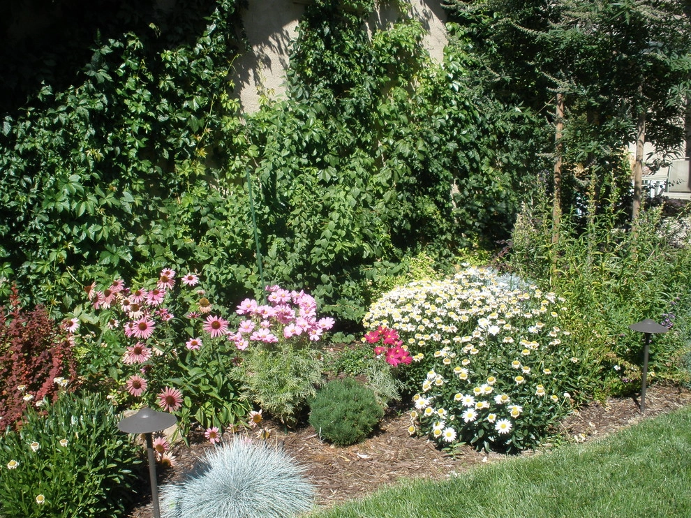 Meadow Vista Stone Columns and Flagstone Steps by Bluestar Landscape Designers - Photo 3