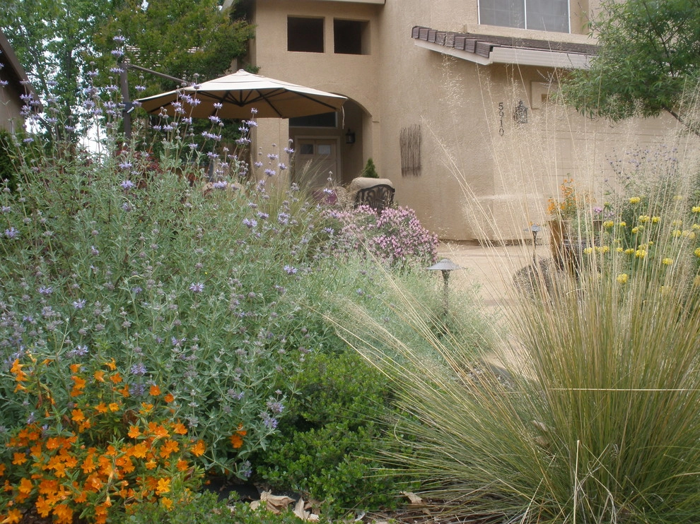 Drought Tolerant Landscape with Courtyard Feel by Bluestar Landscape Designers - Photo 5