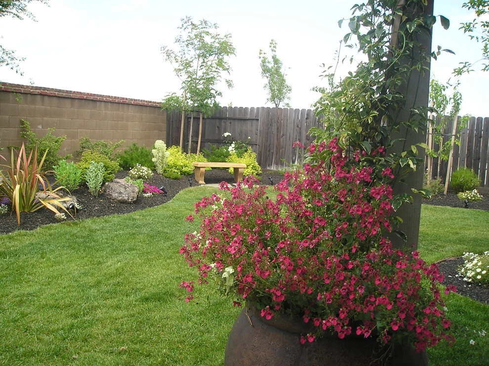 Portfolio of Pots by Bluestar Landscape Designers - Photo 18