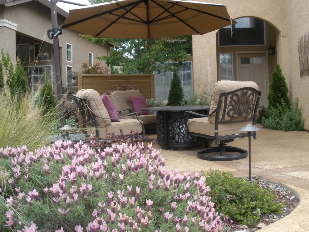 Front Yards and Walkways by Bluestar Landscape Designers - Photo 18