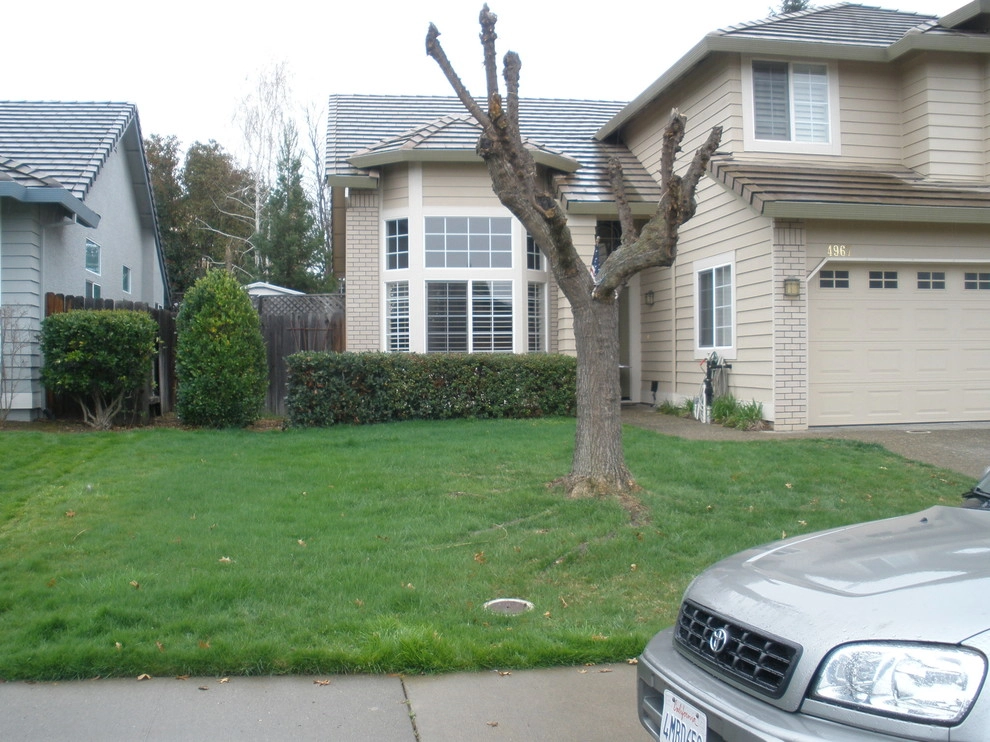 Rocklin Contemporary Courtyard by Bluestar Landscape Designers - Photo 5