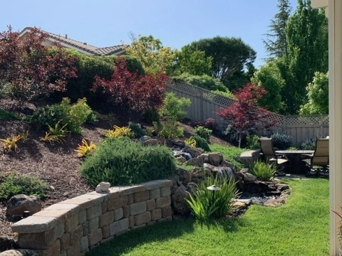 Waterfall in Sun City, Lincoln by Bluestar Landscape Designers - Photo 4