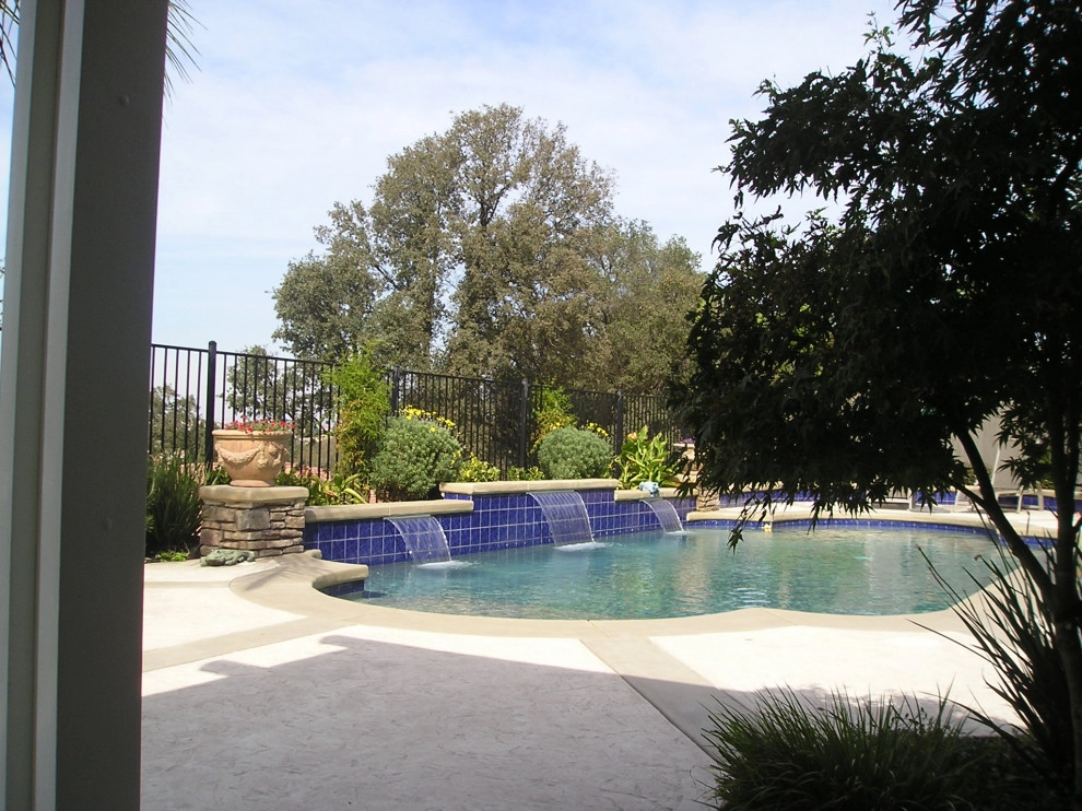 Pool Plantings by Bluestar Landscape Designers - Photo 2