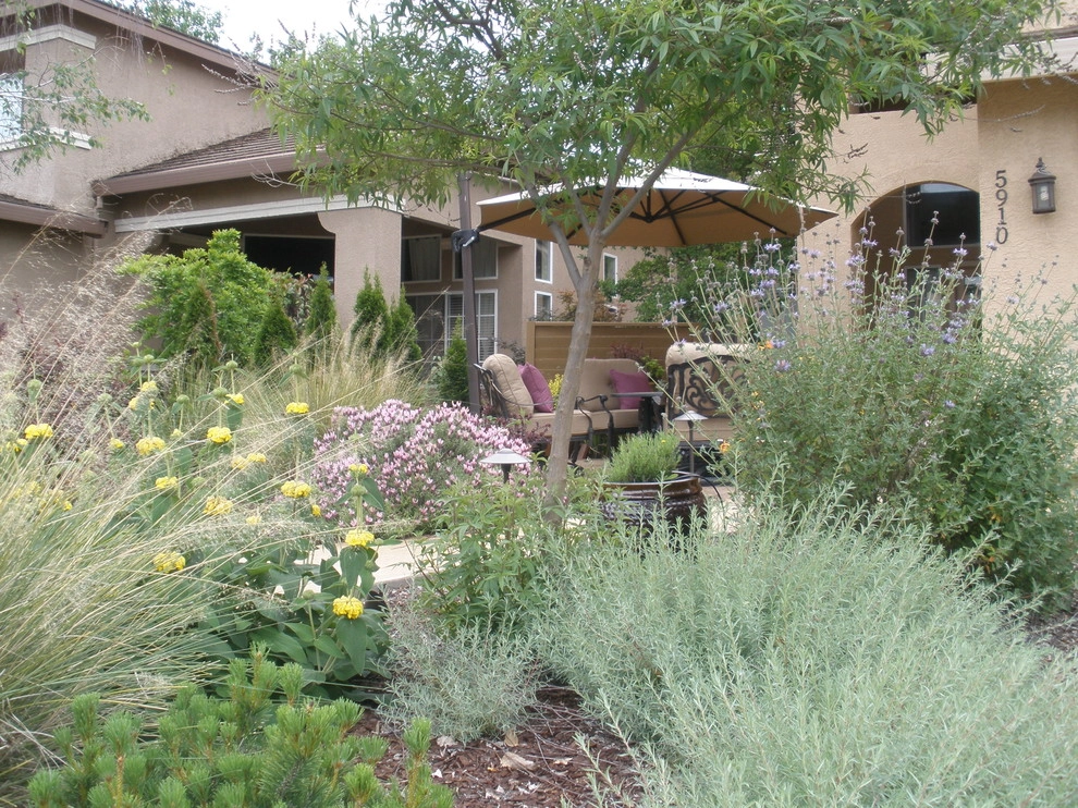 Drought Tolerant Landscape with Courtyard Feel by Bluestar Landscape Designers - Photo 2
