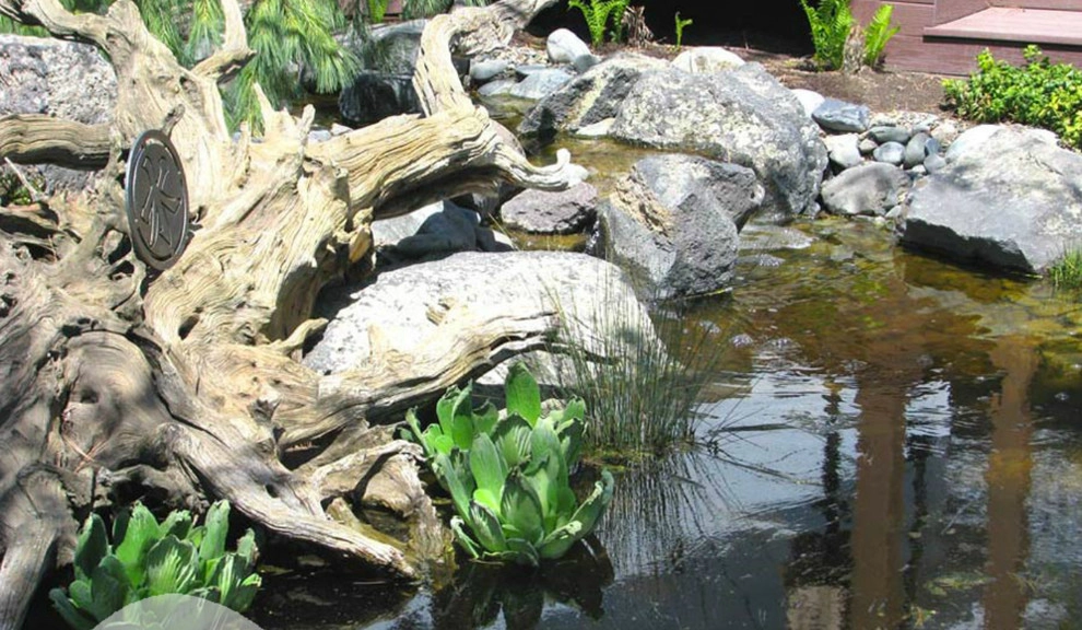 Water Features by Blue Ribbon Landscape & Maintenance, Inc - Photo 5