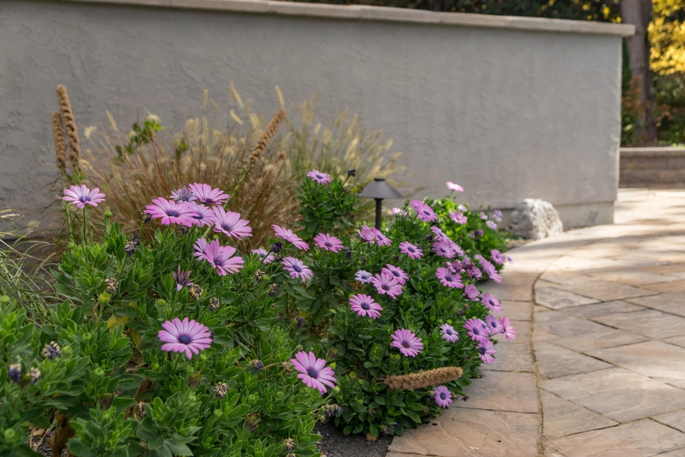 Boise by Blue Ribbon Landscape & Maintenance, Inc - Photo 7
