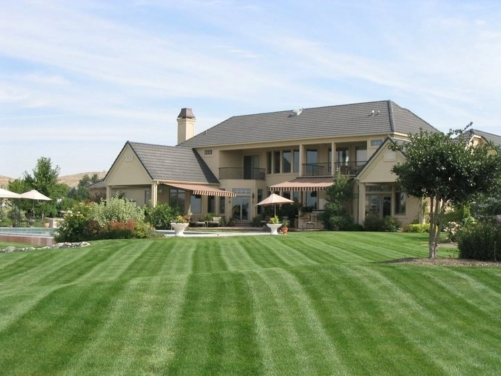 Blue Ribbon Landscape & Maintenance, Inc - Photo 14