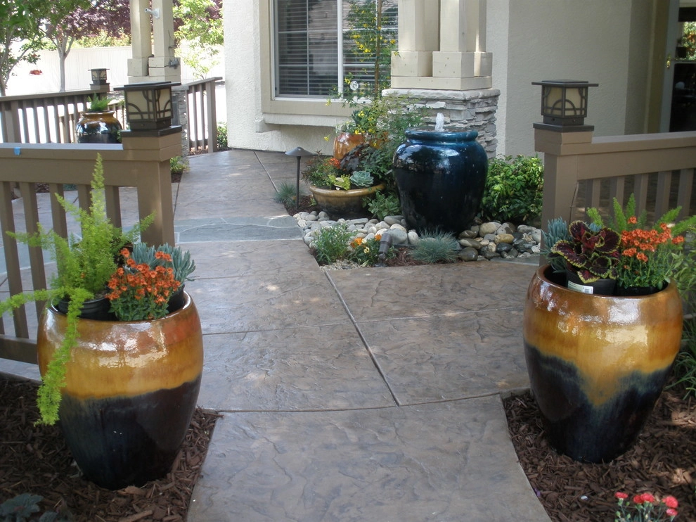 Portfolio of Pots by Bluestar Landscape Designers - Photo 7