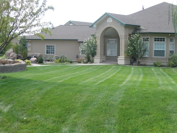 Property Maintenance by Blue Ribbon Landscape & Maintenance, Inc - Photo 6