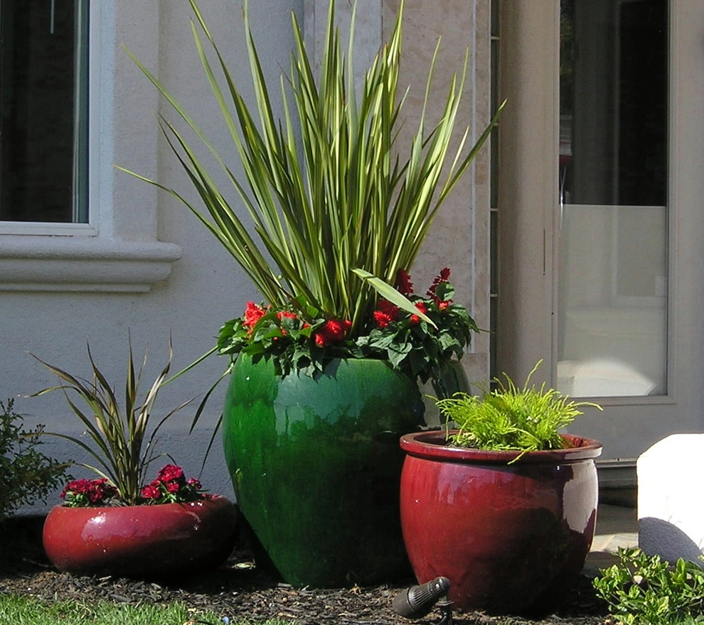 Portfolio of Pots by Bluestar Landscape Designers - Photo 22