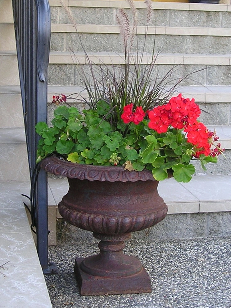 Portfolio of Pots by Bluestar Landscape Designers - Photo 2