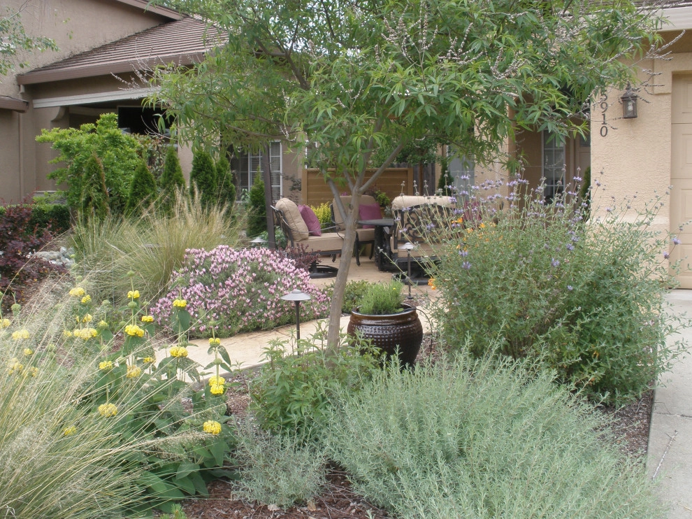 Front Yards and Walkways by Bluestar Landscape Designers - Photo 2