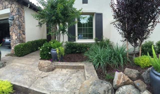 Front Yards and Walkways by Bluestar Landscape Designers - Photo 8