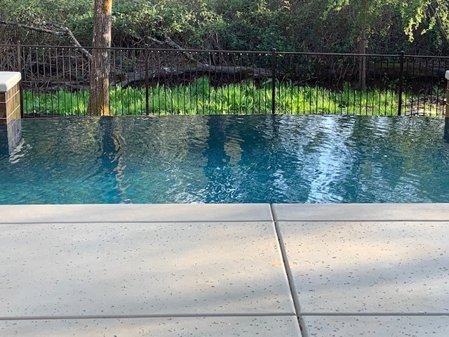Dark Horse Pool - North Auburn by Bluestar Landscape Designers - Photo 5