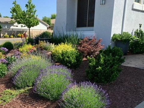 Waterfall in Sun City, Lincoln by Bluestar Landscape Designers - Photo 2