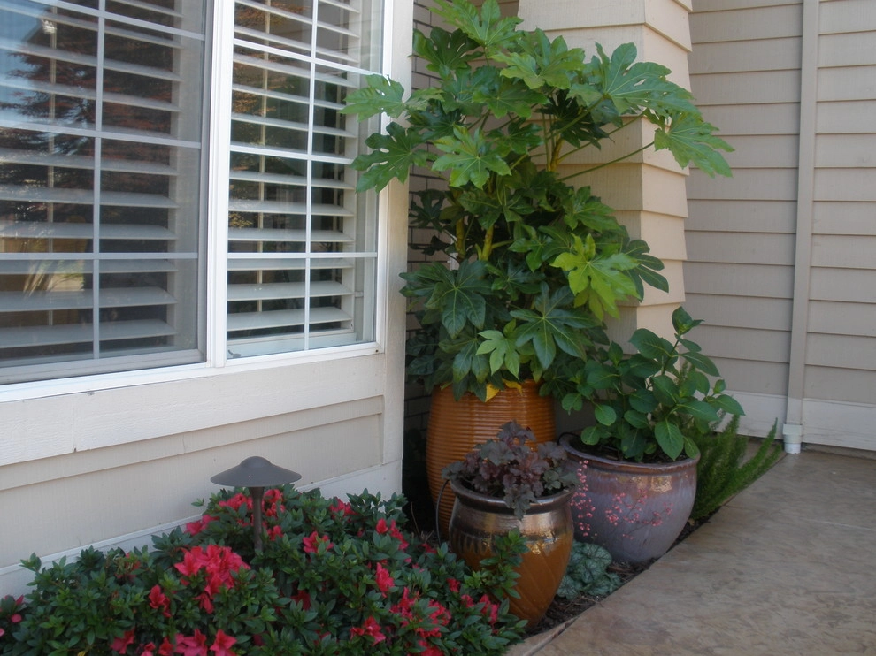 Rocklin Contemporary Courtyard by Bluestar Landscape Designers - Photo 2