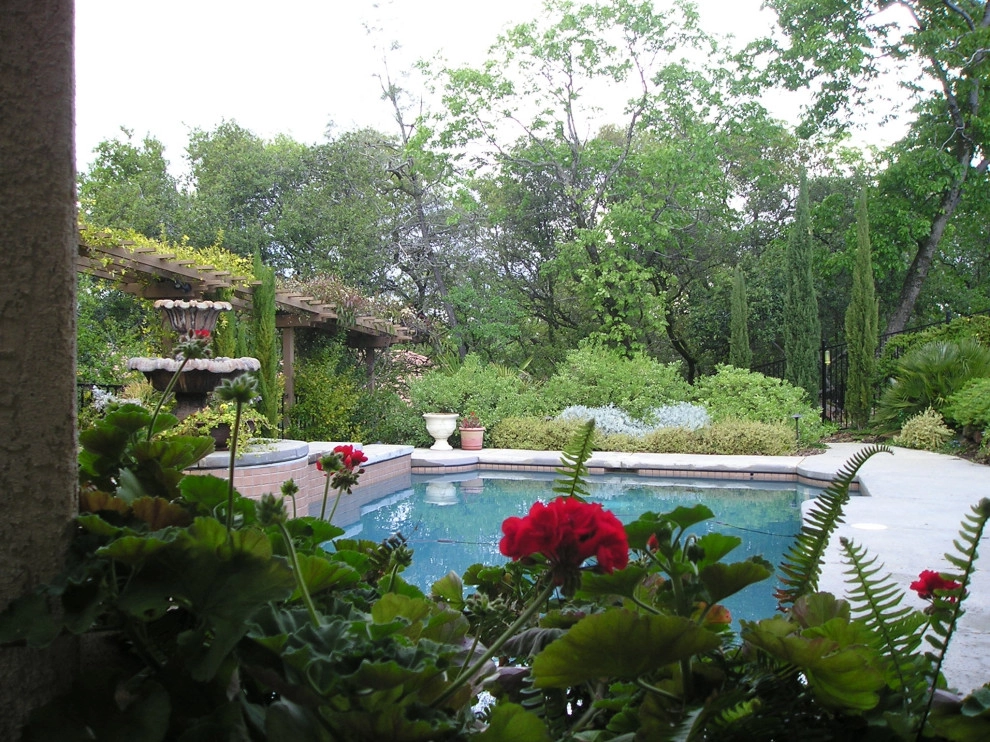 Pool Plantings by Bluestar Landscape Designers - Photo 8